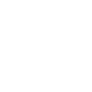 SSIP Logo